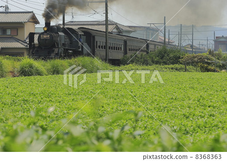 Oigawa Railway SL Oigawa Railway SL 8368363