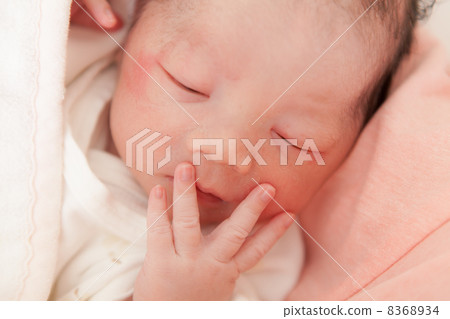 出生日期（0歲） 8368934