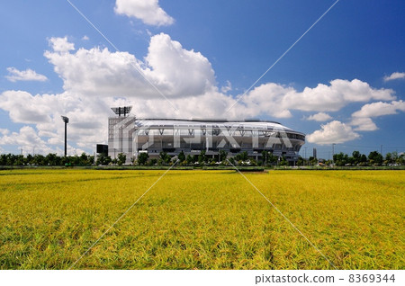 Countryside in Niigata City Countryside in Niigata City 8369344