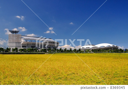 新潟市的鄉村 8369345