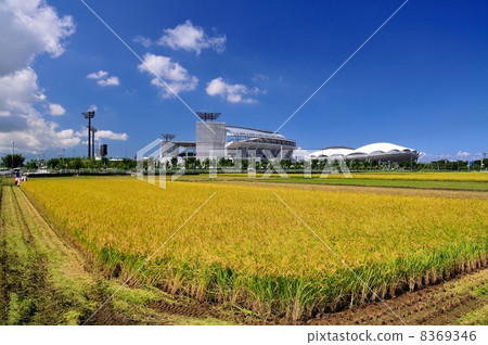 Countryside in Niigata City 8369346