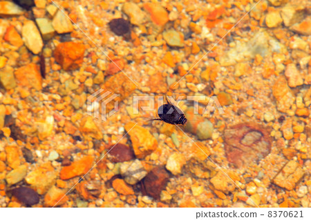 Yasha Gengrow Yasha Gengrow 8370621