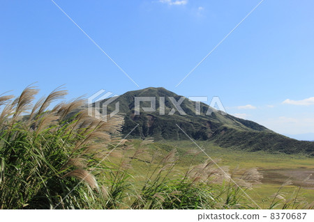 麻生桃子 8370687