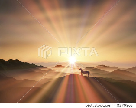 Sunrise and a horse 8370805