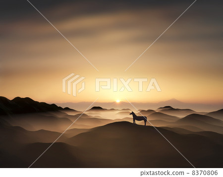 Sunrise and a horse 8370806