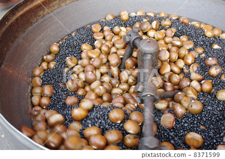 甜栗子要烤 8371599