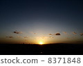 Evening view of Osaka plain 8371848