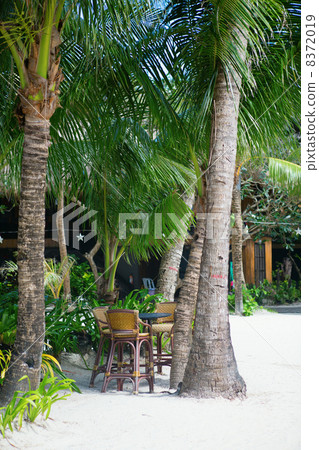 Table of a beach cafe under palm trees 8372019