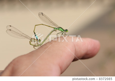 different from usual different from usual 8372085