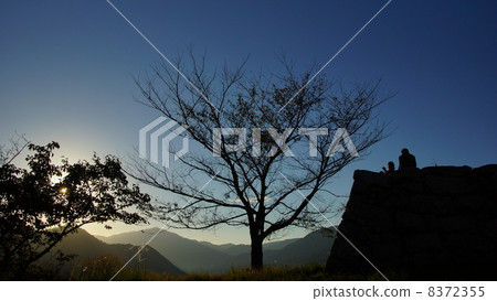 Morning silhouette 8372355