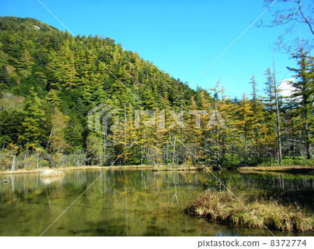 Myojin Pond Myojin Pond 8372774