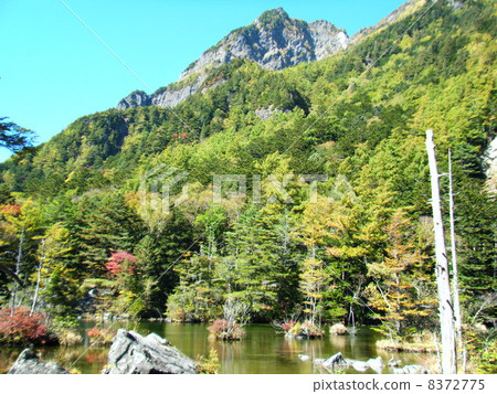 Myojin Pond 8372775