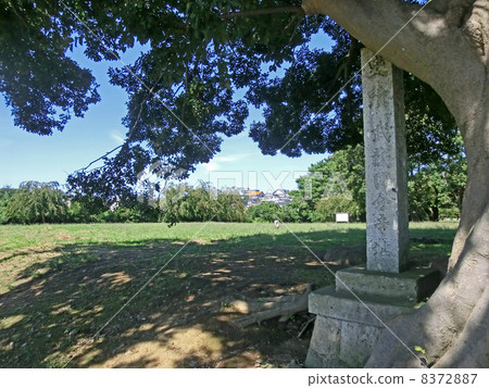 Musashi Kokubunji Kondo Ruins (Before maintenance) Musashi Kokubunji Kondo Ruins (Before maintenance) 8372887