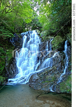 Fukuoka · Shiraito Falls 8373081