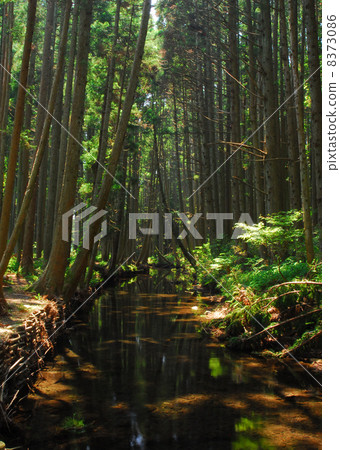 Mysterious Usedo River 8373086