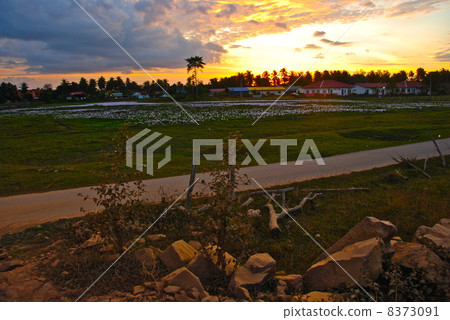 黃昏（蘭卡威/馬來西亞） 8373091