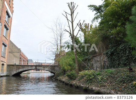 City of Water Bruges 8373126
