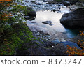 Kodama河的流動 8373247