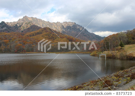 Autumn leaves of Togakushi Pond Autumn leaves of Togakushi Pond 8373723