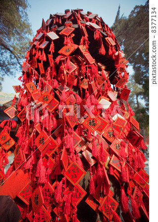 wish cards in a Buddhist temple in Beijing wish cards in a Buddhist temple in Beijing 8377134