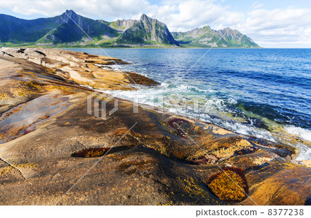 Senja island Senja island 8377238
