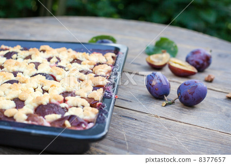 Fresh baked plum cake Fresh baked plum cake 8377657