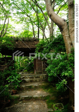 吉奧寺 吉奧寺 8378037