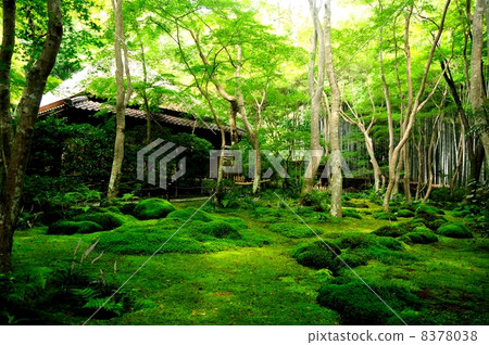 Gioji寺 Gioji寺 8378038