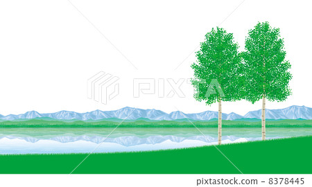 湖邊有樺木 8378445