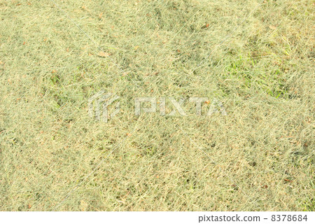 Grass clipper 8378684