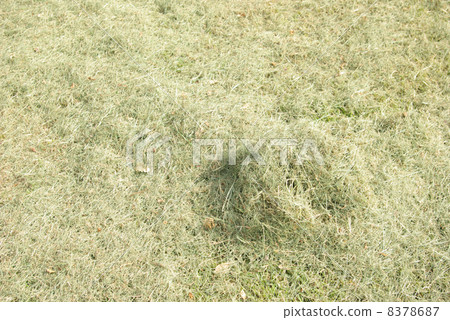 Grass clipper Grass clipper 8378687
