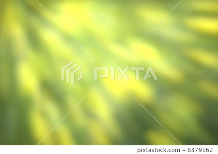 Summer Bokeh Summer Bokeh 8379162