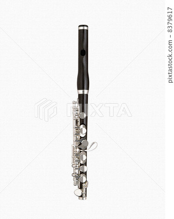 Piccolo Piccolo 8379617