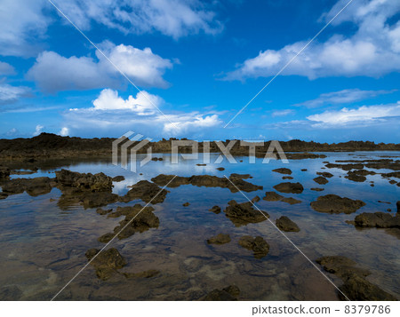 Pupu Care / Tide Pool 8379786