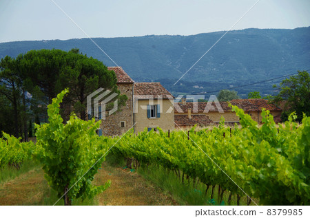 Landscape of Provence in the south of France 8379985