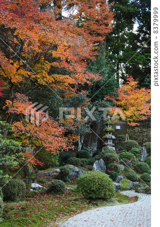 京都Mangyoin的秋天 8379999