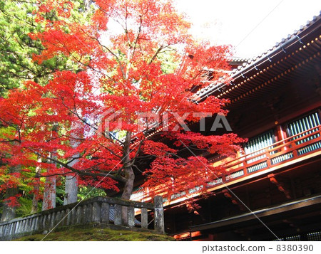 Fall of Nikko Yamanoteji Fall of Nikko Yamanoteji 8380390