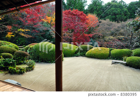 京都資生堂的秋天 京都資生堂的秋天 8380395