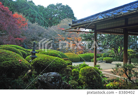 京都資生堂的秋天 京都資生堂的秋天 8380402