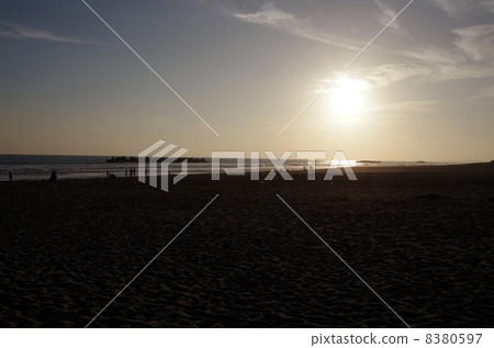 在Nakadashima沙丘（靜岡縣） 8380597