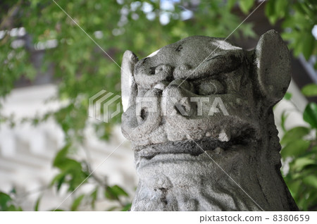 Torigoe Shrine Guardian dog Torigoe Shrine Guardian dog 8380659