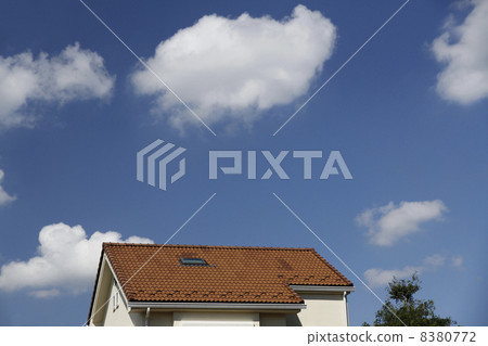 House with skylight 8380772