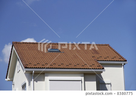 House with skylight 8380775