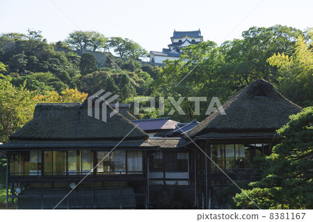 Hikone castle tower from Genkyonen 8381167