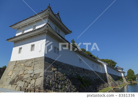 彥根城Ninomaru Sawawa Odori Odori 8381336