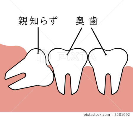 智慧茶 8381692