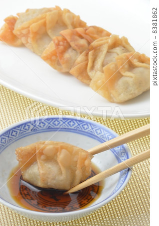 fried gyoza	 8381862