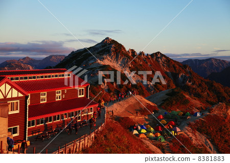 Morgen Ruth's Mt. 8381883