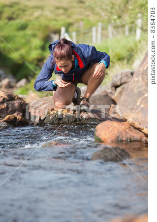 Hiker bending to take a drink from the stream Hiker bending to take a drink from the stream 8384703