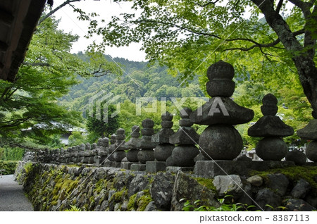 京都Nenbutsuji寺廟的風景 8387113